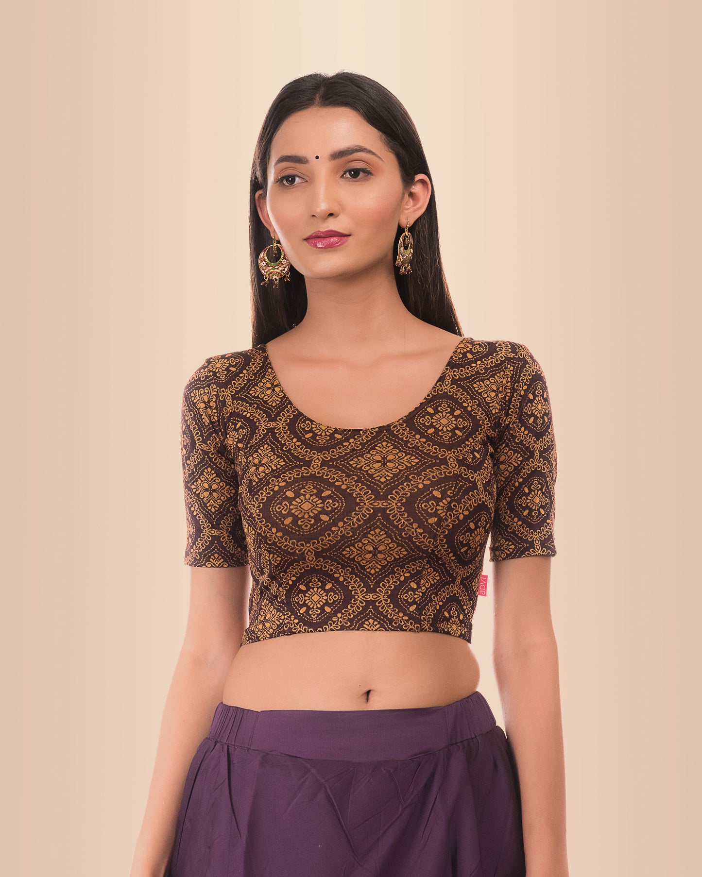 Khwaab Coffee Jacquard Chikankari Slip On Stretchable Blouse by Advi