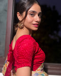 Gulshan Maroon Velvet Blouse with Potli Back and Organza Bows by Advi