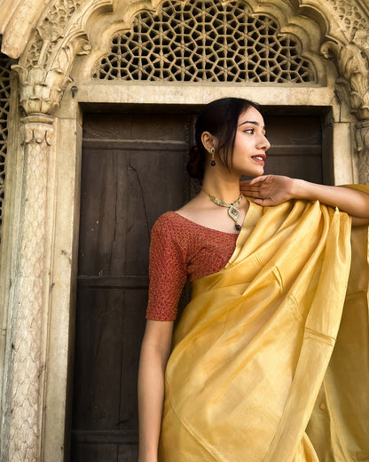 Model pairing the blouse with a luxurious saree for a festive look.
