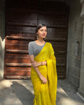 Tanisi Silver Zari Blouse with Handmade Latkan and Zig Zag Design by Advi