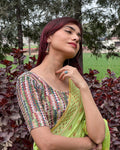 Dunki Nature Green Print Multicolour Velvet Zari Stripes Stretchable Slip On Blouse