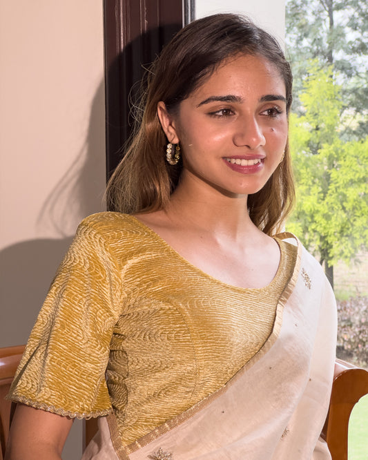 Model pairing the velvet stretchable blouse with a traditional saree, demonstrating a complete ethnic look.
