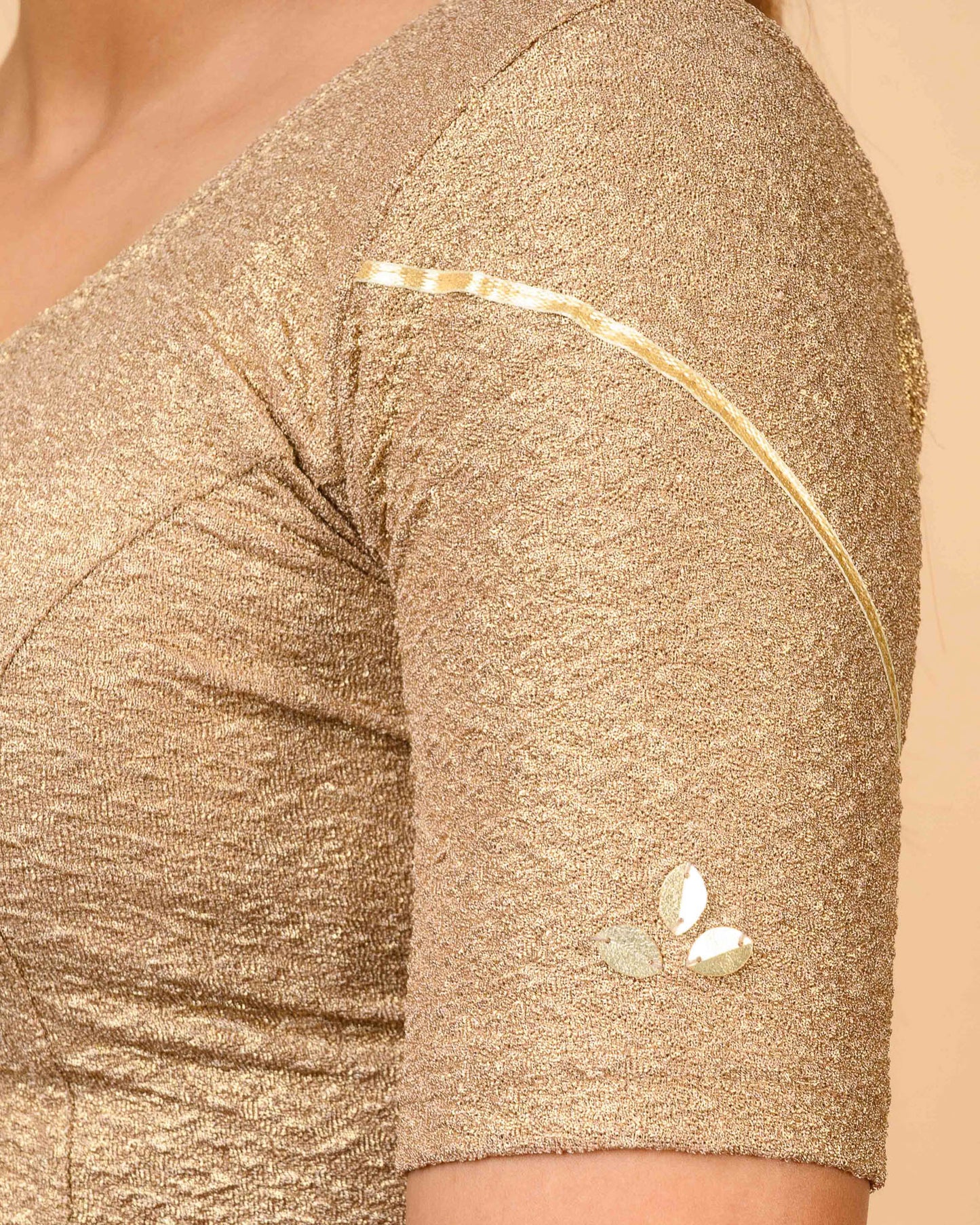 Mira Dark Gold Tissue Zari Organza Panel Saree Blouse Advi