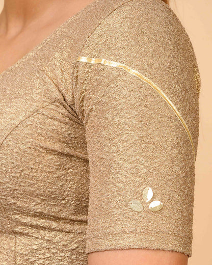 Mira Dark Gold Tissue Zari Organza Panel Saree Blouse Advi