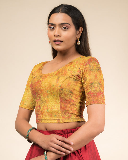 Baawri Mustard Multicolour Print Saree Blouse with Golden Back Advi