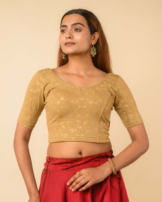 Zubaida Beige Gold Zari Sequin Embroidered Stretchable Saree Blouse Advi
