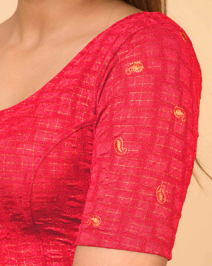 Sona Rani Foil Checkered Resham Work Saree Blouse Advi