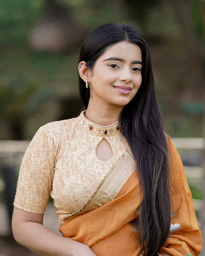 Gauravi Fawn Crystal Stone Choker Blouse