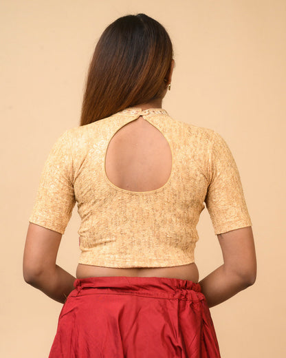 Gauravi Fawn Crystal Stone Choker Blouse