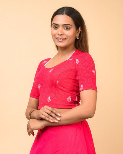 Anjali Rani Lucknowi Embroidered Saree Blouse Advi