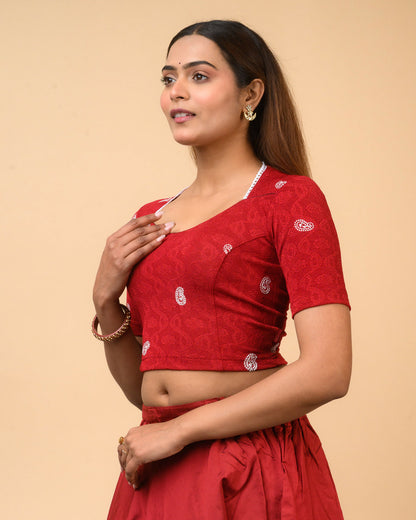 Anjali Maroon Lucknowi Embroidered Saree Blouse Advi
