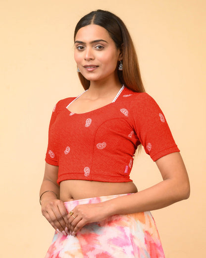Anjali Dark Red Lucknowi Embroidered Saree Blouse Advi