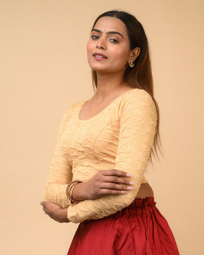 Ritu Fawn Rose Textured Long Sleeve Saree Blouse Advi