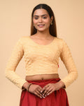 Ritu Fawn Rose Textured Long Sleeve Saree Blouse Advi